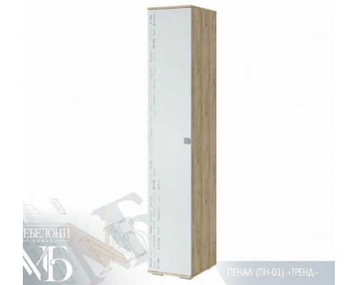 Пенал ''Тренд'' ПН-01